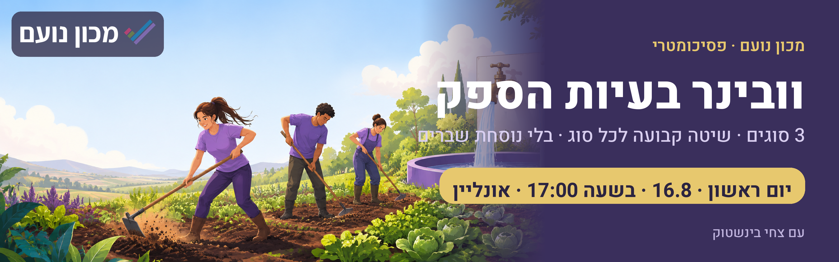 וובינר בעיות הספק 
